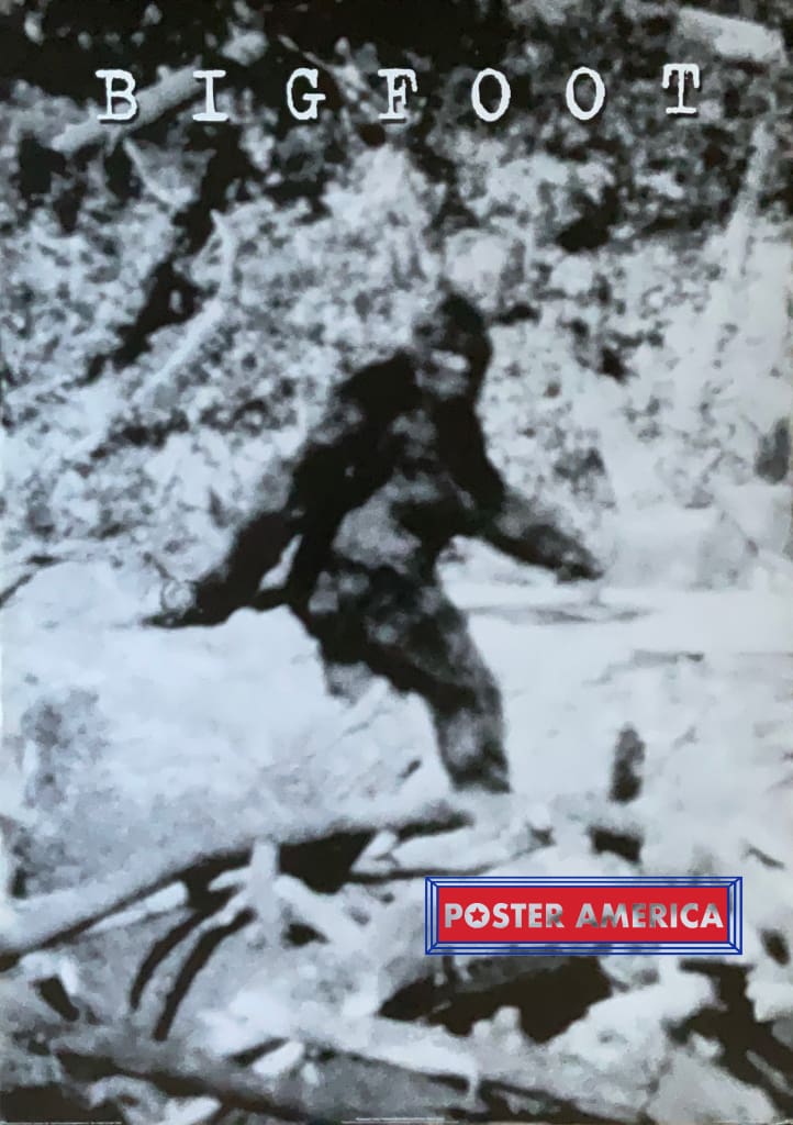Load image into Gallery viewer, Bigfoot Famous Black &amp; White Image Vintage 2000 Poster 24 X 34 Vintage Poster
