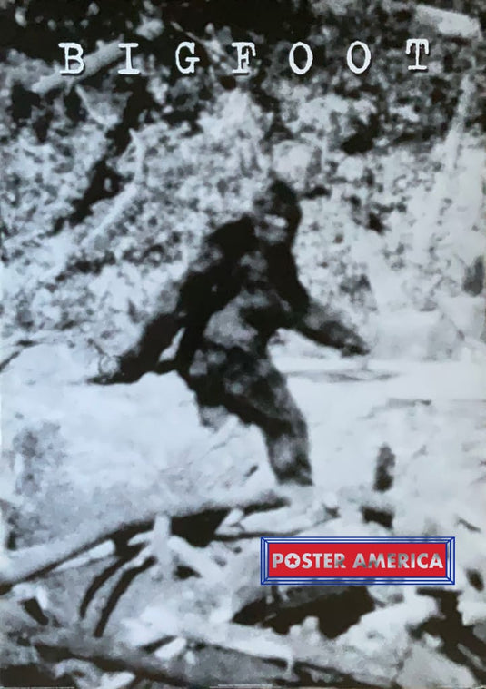 Bigfoot Famous Black & White Image Vintage 2000 Poster 24 X 34 Vintage Poster