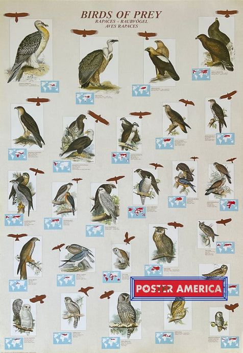 Birds Of Prey Vintage Hobby Poster 27 X 39 Posters Prints & Visual Artwork