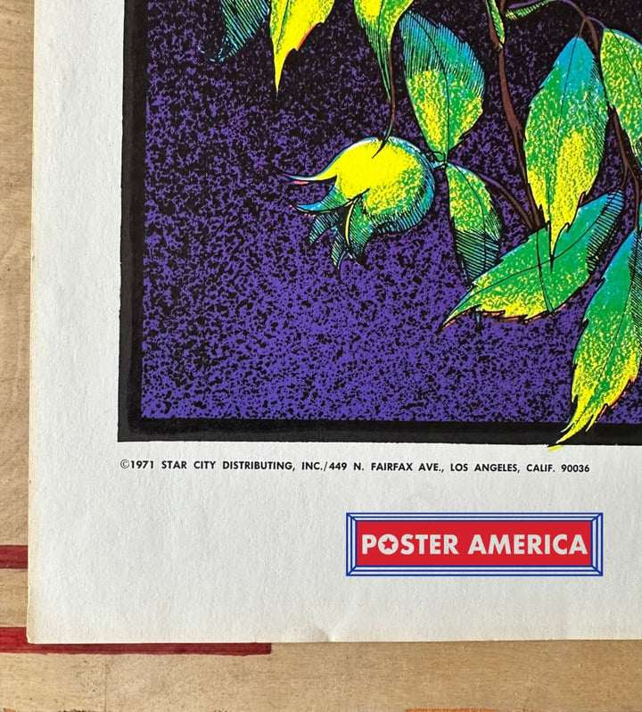 Black Rose Original Vintage 1971 Black Light Poster 25 x 40 – PosterAmerica