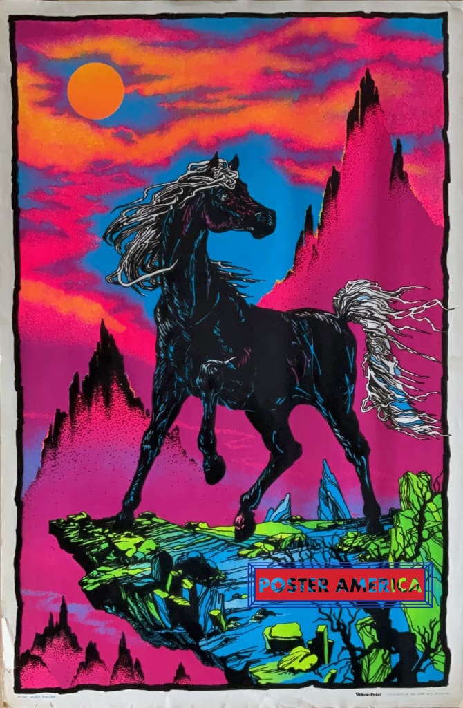 Load image into Gallery viewer, Black Stallion Rare Original Vintage 1975 Light Poster 23 X 35 Posters Prints &amp; Visual Artwork
