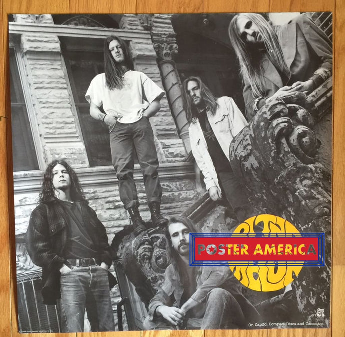 Blind Melon Capitol Records Original 1993 Promo Poster 24 X