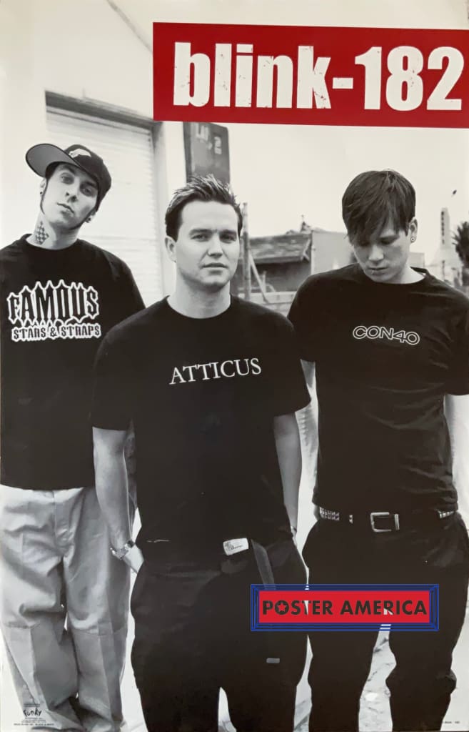 Load image into Gallery viewer, Blink 182 Black &amp; White Group Shot Poster 22.5 X 34.5
