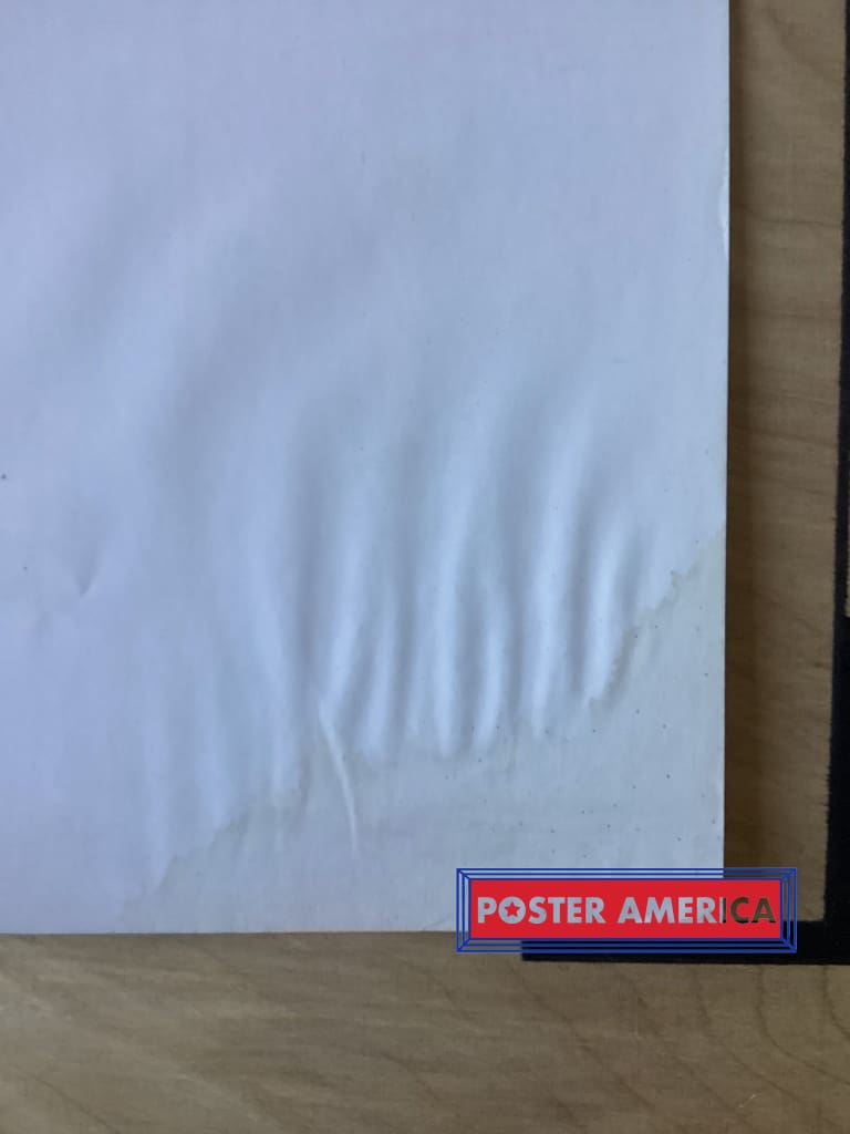 Load image into Gallery viewer, Bob Marley Portrait Art 2009 Poster 22.5 X 34
