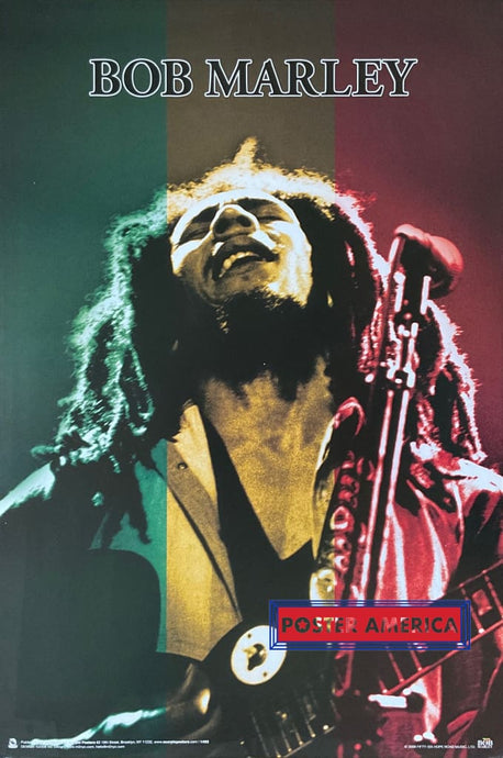 Bob Marley Reggae Colors 2008 Poster 24 X 36