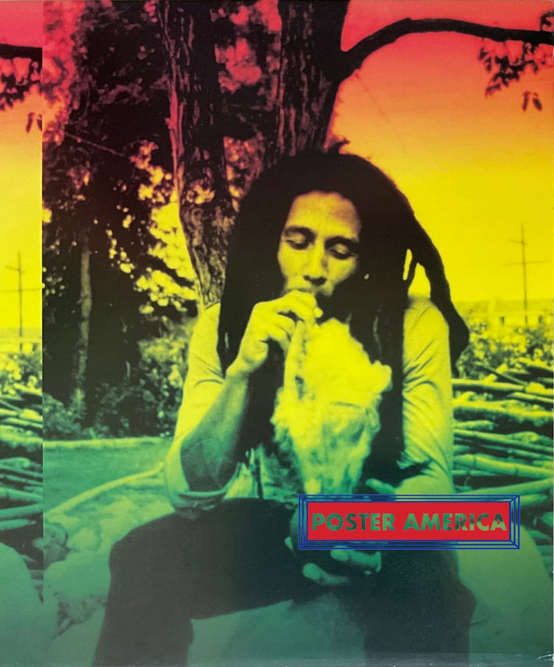 Load image into Gallery viewer, Bob Marley Smoking A Water Pipe Poster 12 X 36 Posters Prints &amp; Visual Artwork

