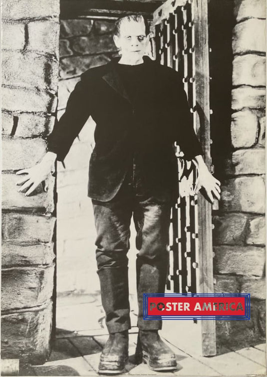 Boris Karloff As Frankensteins Monster Vintage 1995 Poster 24 X 34 Photograph Reproduction By