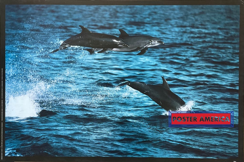 Load image into Gallery viewer, Bottlenose Dolphins Shot Vintage 1991 Poster 24.5 X 36.5 Vintage Poster
