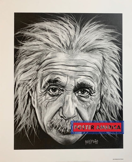 Bradford John Salamon 1991 Einstein Sketch Rare Vintage Art Poster Print 20 X 24 Vintage Poster