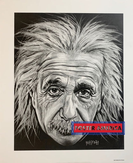 Bradford John Salamon 1991 Einstein Sketch Rare Vintage Art Poster Print 20 X 24 Vintage Poster