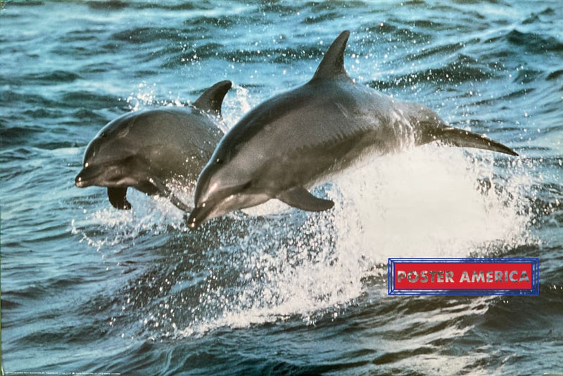 Load image into Gallery viewer, Breaching Dolphins Vintage 1989 Photography Poster 24 X 36
