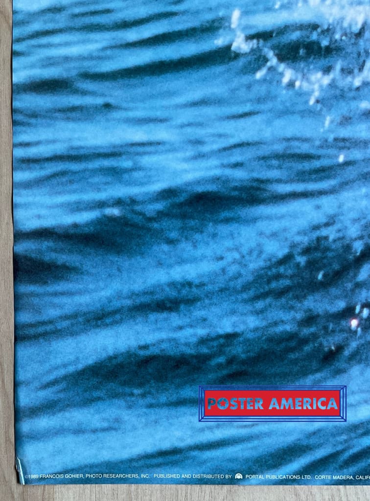 Load image into Gallery viewer, Breaching Dolphins Vintage 1989 Photography Poster 24 X 36
