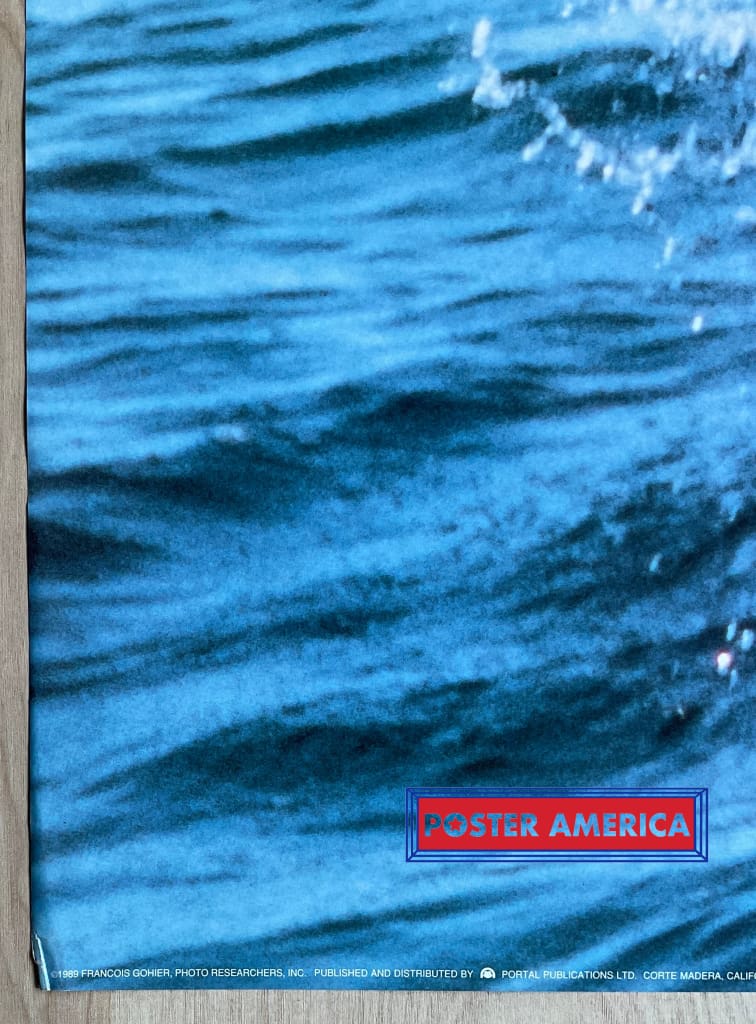 Load image into Gallery viewer, Breaching Dolphins Vintage 1989 Photography Poster 24 X 36

