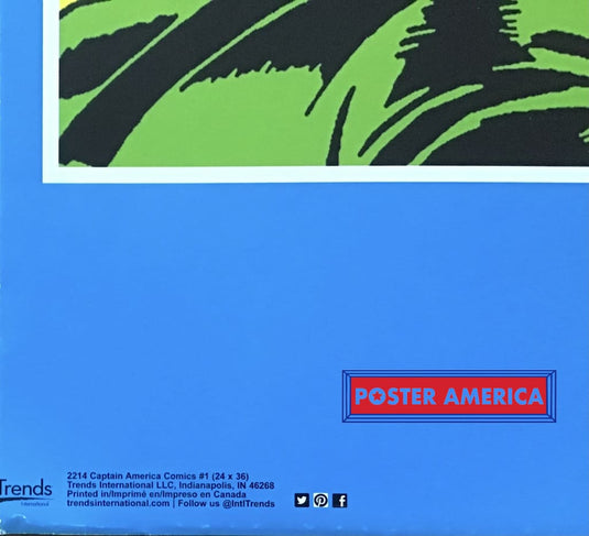 Captain America Punching Hitler Poster 24 X 36