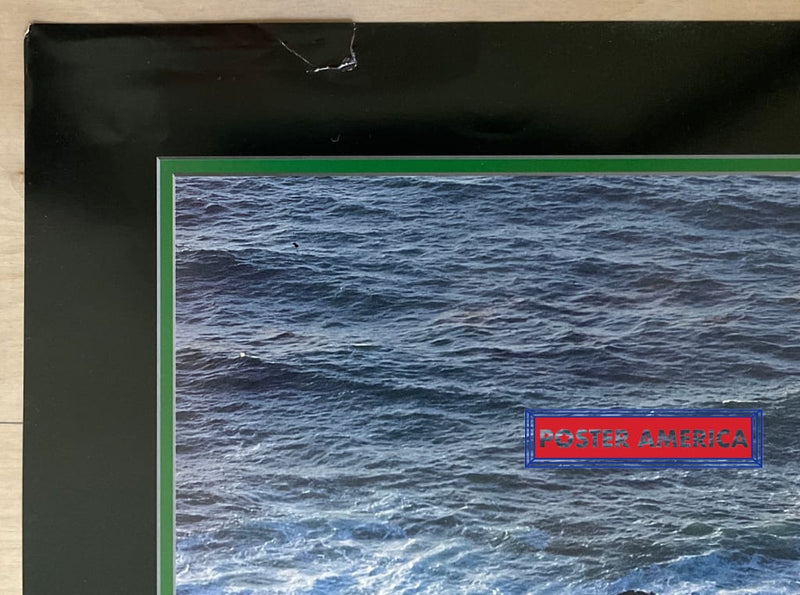 Load image into Gallery viewer, Xxx - 037 Posters Prints &amp; Visual Artwork
