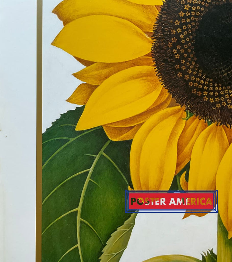 Load image into Gallery viewer, Xxx - 013 Posters Prints &amp; Visual Artwork
