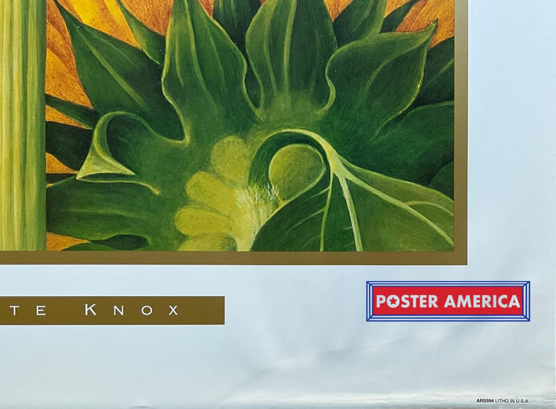 Load image into Gallery viewer, Xxx - 013 Posters Prints &amp; Visual Artwork
