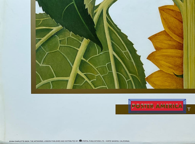 Load image into Gallery viewer, Xxx - 013 Posters Prints &amp; Visual Artwork
