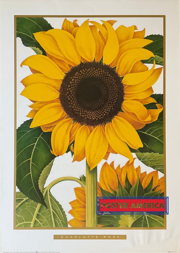 Load image into Gallery viewer, Xxx - 013 Posters Prints &amp; Visual Artwork
