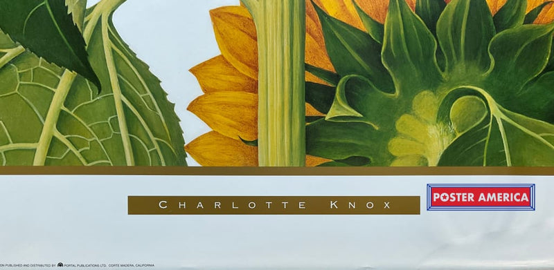 Load image into Gallery viewer, Xxx - 013 Posters Prints &amp; Visual Artwork
