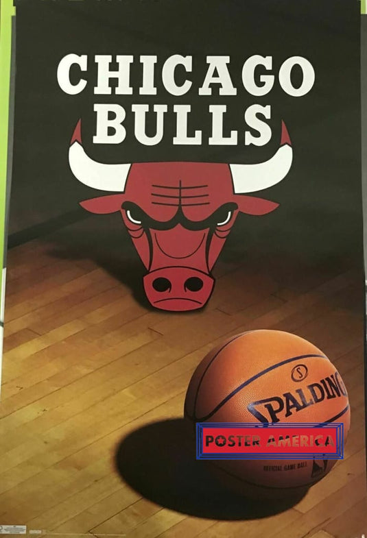Chicago Bulls Basketball Poster 22 X 34