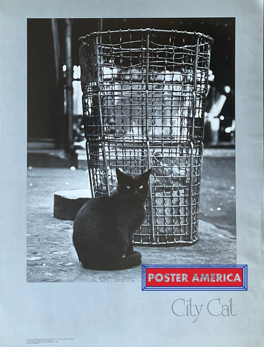 City Cat Vintage Black & White Photography Poster 19 X 25 Posters Prints Visual Artwork