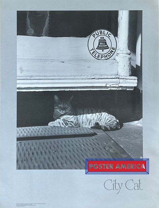 City Cat Vintage Photography Poster 19 X 25 Posters Prints & Visual Artwork