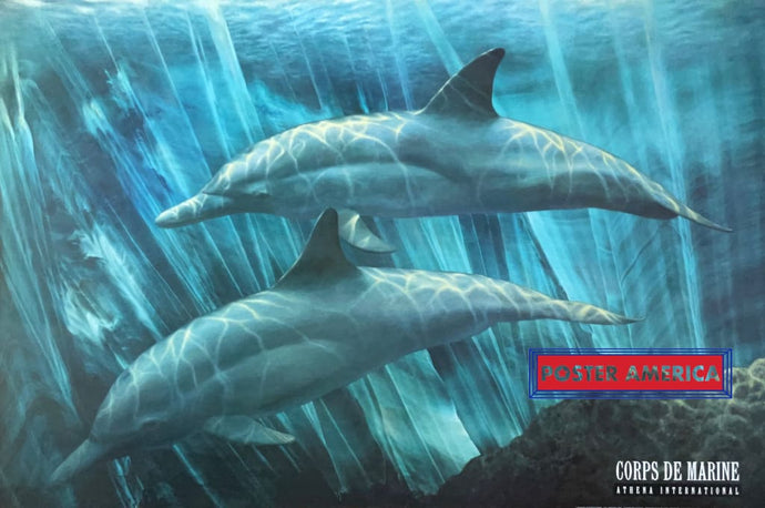 Corps De Marine Vintage 1991 Dolphin Artwork Poster 23.5 X 35 Vintage Poster