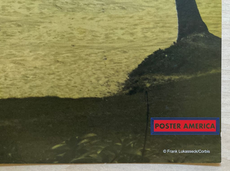 Load image into Gallery viewer, Xxx - 016 Posters Prints &amp; Visual Artwork
