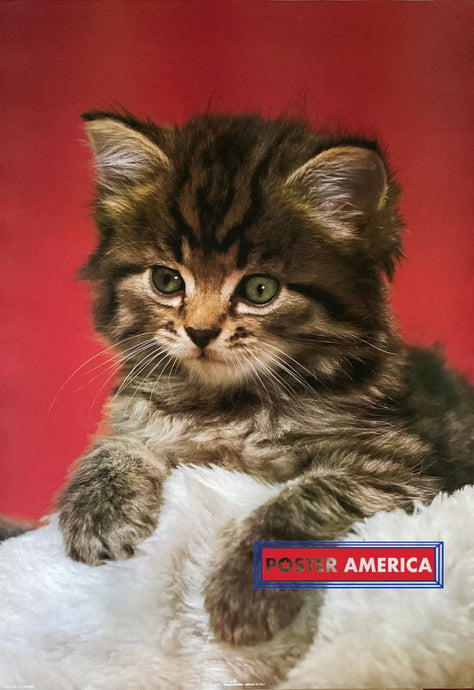 Cute Kitten Lounging On Bed Vintage Poster 27 X 38.5