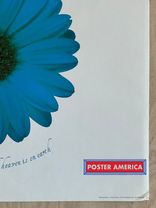 Dance Love Sing And Live Daisies Inspirational Art Slim Print 12 X 36