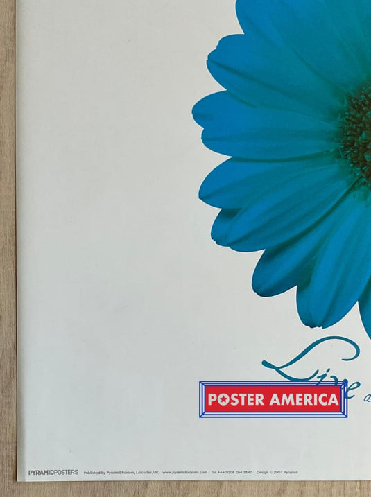 Dance Love Sing And Live Daisies Inspirational Art Slim Print 12 X 36