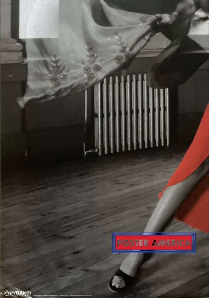 Load image into Gallery viewer, Dancer In Red Dress Dance Hall Vintage 24 X 35 Poster Vintage Poster
