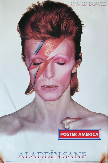 David Bowie Aladdin Sane Poster 24 x 36 Poster