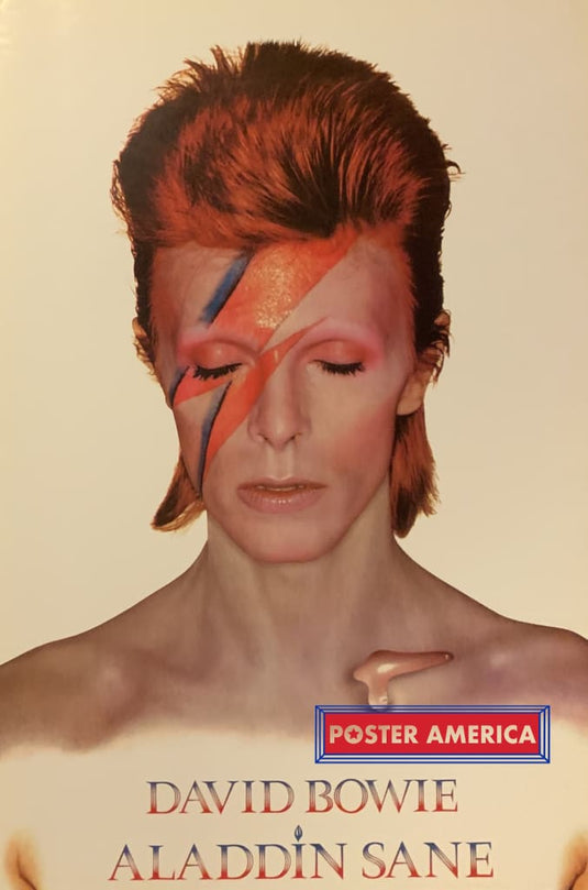 David Bowie Aladdin Sane Poster 24 X 36