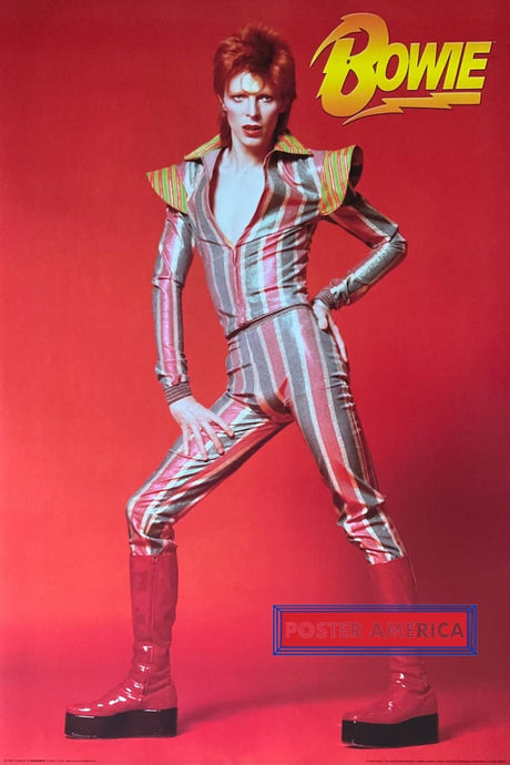 David Bowie Glam Style Ziggy Persona Poster 24 x 36 Poster