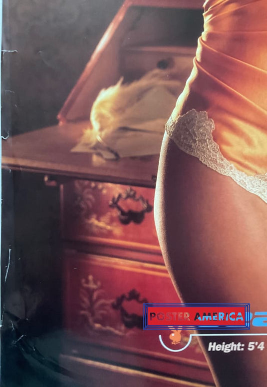 Deanna Brooks Playboy Cover Girl Vintage 1998 Poster 23 X 35