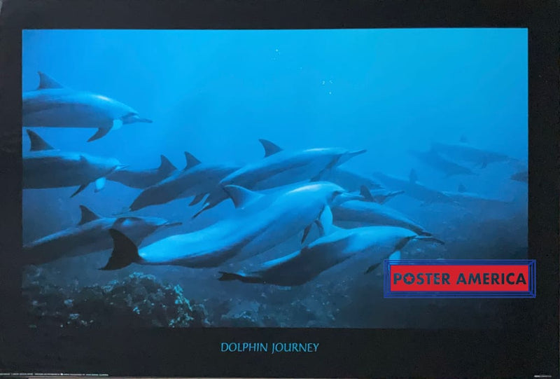 Load image into Gallery viewer, Dolphin Journey By Michael S. Nolan Vintage 1994 Wildlife Poster 24 X 35.5

