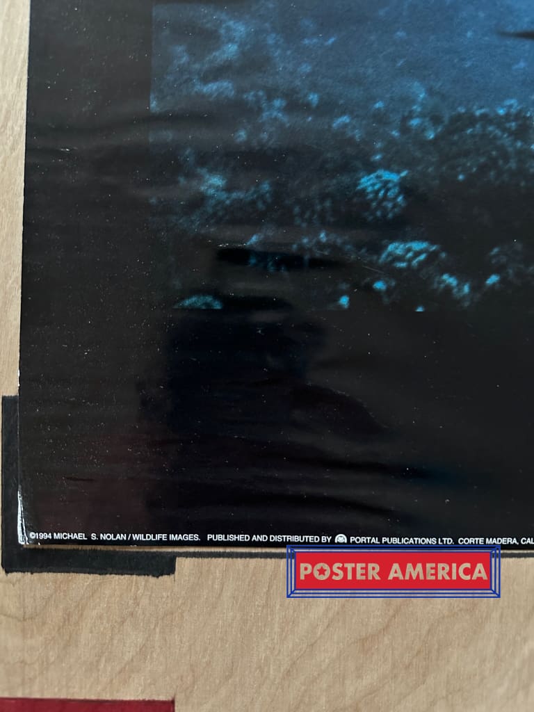 Load image into Gallery viewer, Dolphin Journey By Michael S. Nolan Vintage 1994 Wildlife Poster 24 X 35.5
