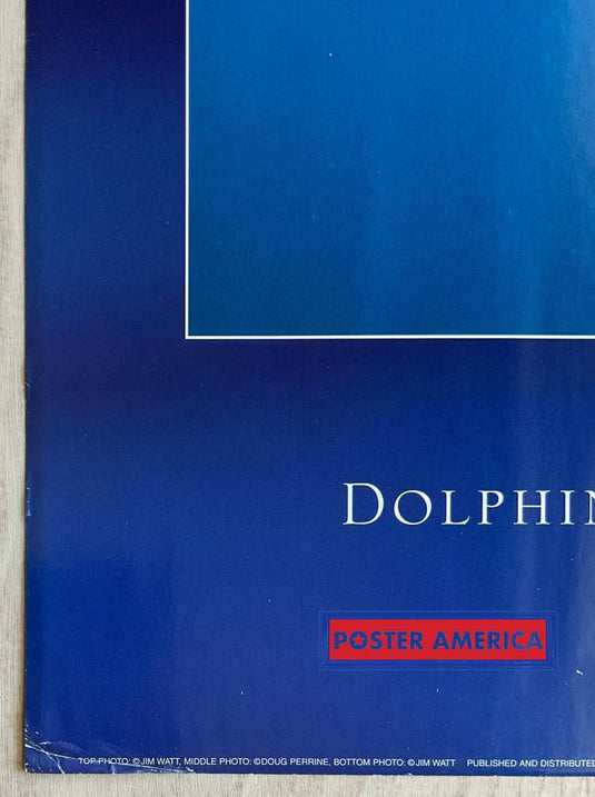 Dolphin Journey Vintage Underwater Photography Slim Print 12 X 36