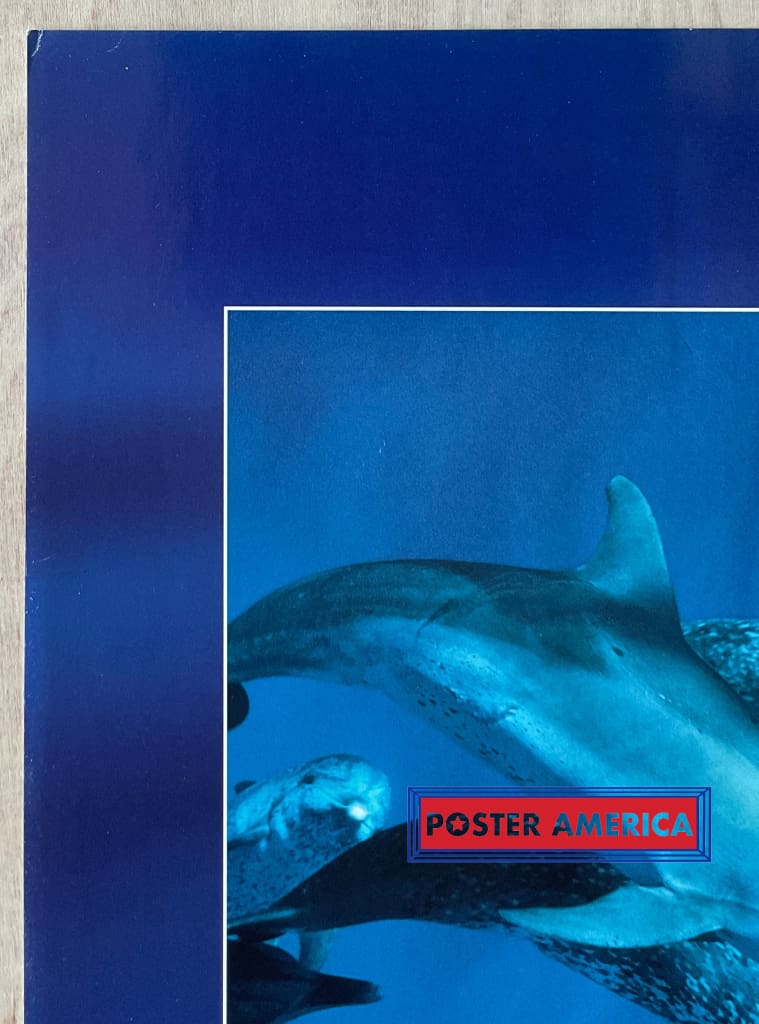 Load image into Gallery viewer, Dolphin Journey Vintage Underwater Photography Slim Print 12 X 36
