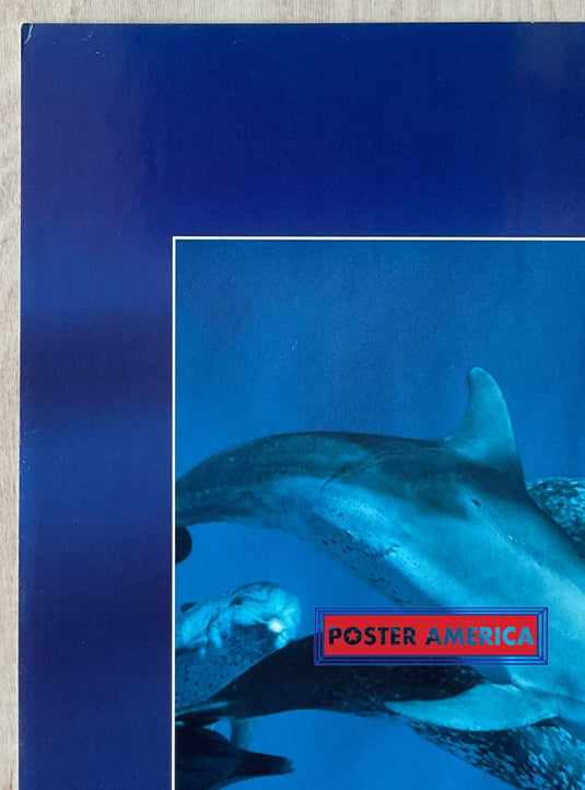 Dolphin Journey Vintage Underwater Photography Slim Print 12 X 36