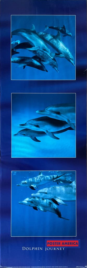 Dolphin Journey Vintage Underwater Photography Slim Print 12 X 36