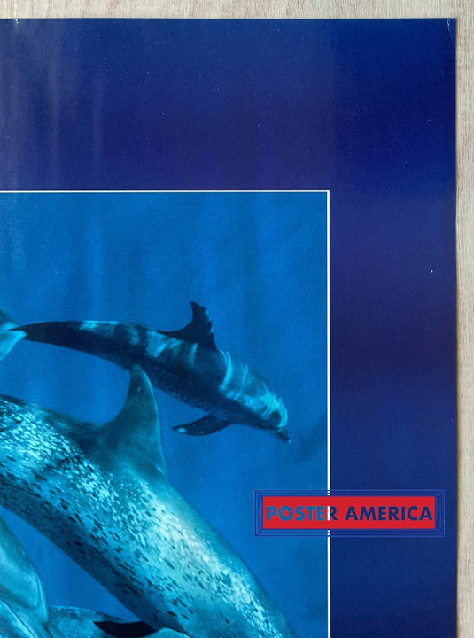 Dolphin Journey Vintage Underwater Photography Slim Print 12 X 36