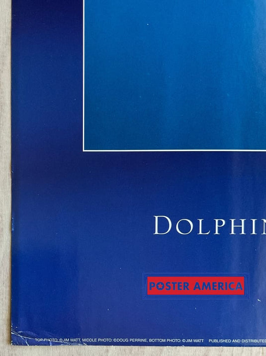 Dolphin Journey Vintage Underwater Photography Slim Print 12 X 36
