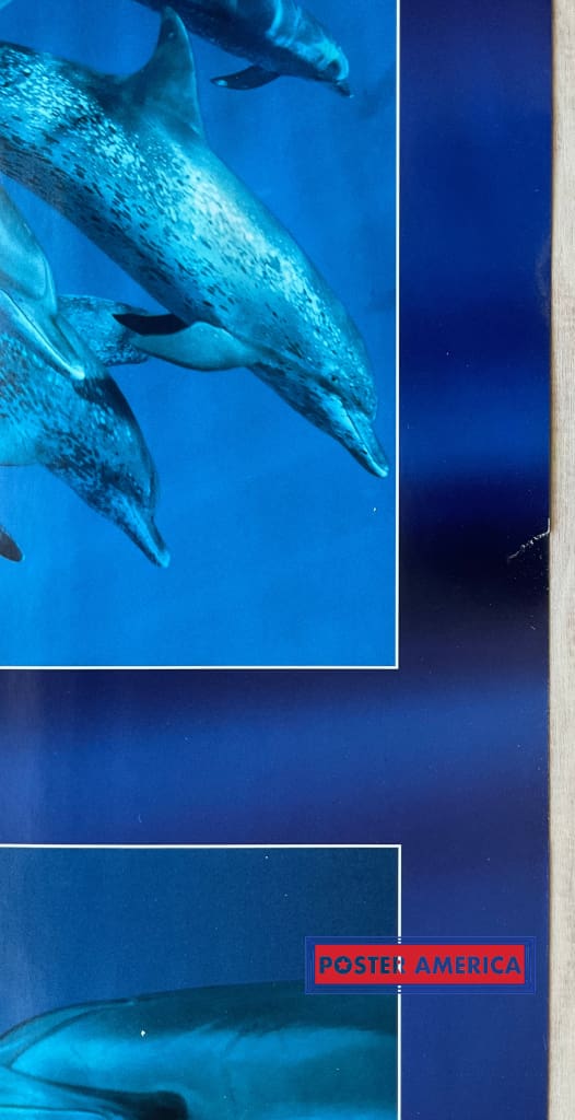 Dolphin Journey Vintage Underwater Photography Slim Print 12 X 36