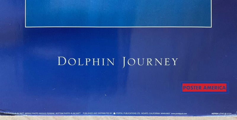 Load image into Gallery viewer, Dolphin Journey Vintage Underwater Photography Slim Print 12 X 36

