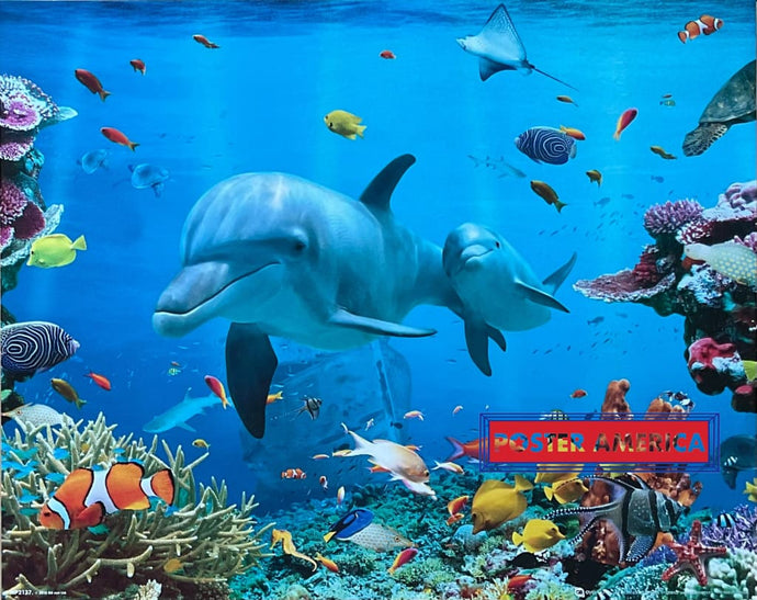 Dolphins and other Sea Animals Oceanography Print 16 x 20 Posters Prints & Visual Artwork