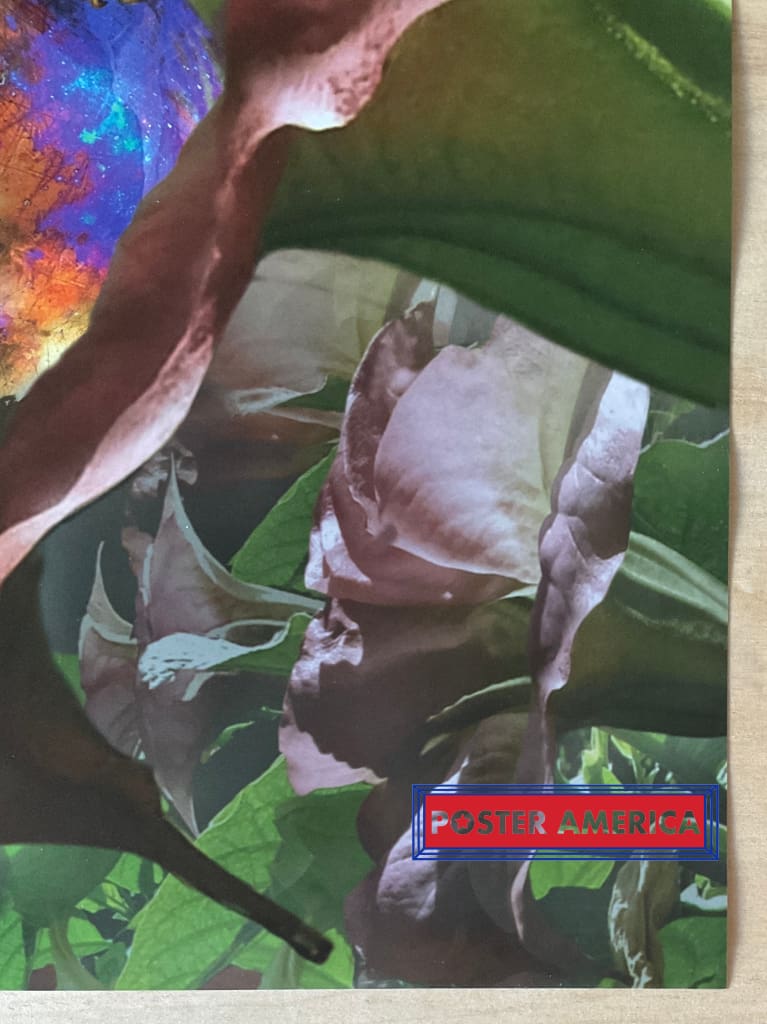 Load image into Gallery viewer, Dragons Dream Mythical Creatures Art Poster 24 X 36
