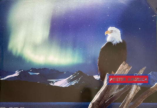 Eagle Aurora Borealis Canadian Import Poster 24 X 35